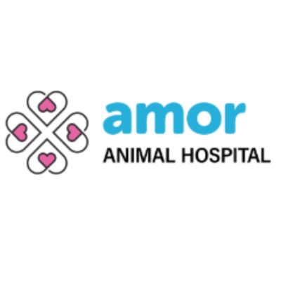 Amor Animal Hospital